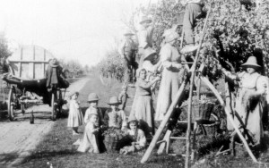 _f1_5922_originaley121