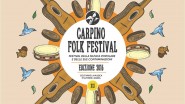 carpino