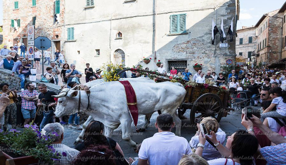 80 anni di Maggiolata: a Lucignano rivive la tradizione