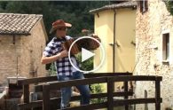 di mattia
