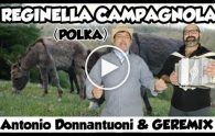 donnantuoni