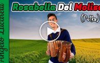 lucarelli
