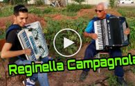 reginella