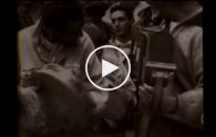 tarantella