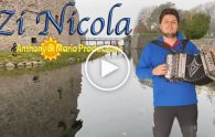 zi nicola